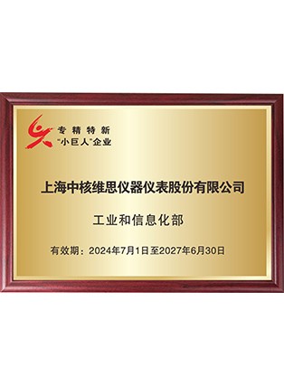 專精特新“小巨人”企業(yè)